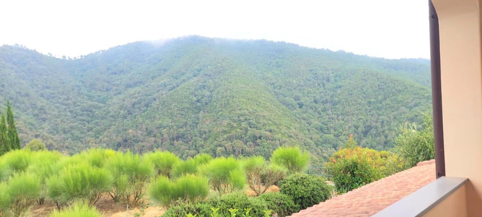 Appartamento Antico Principato di Seborga Vallebona Esterno foto